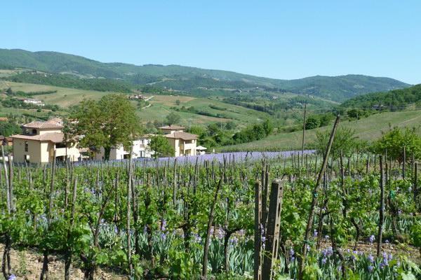 Casa Rosa Greve in Chianti Exterior foto
